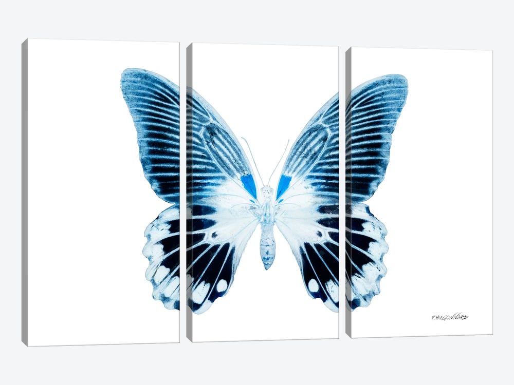 Miss Butterfly Agenor X-Ray (White Edition) by Philippe Hugonnard 3-piece Art Print