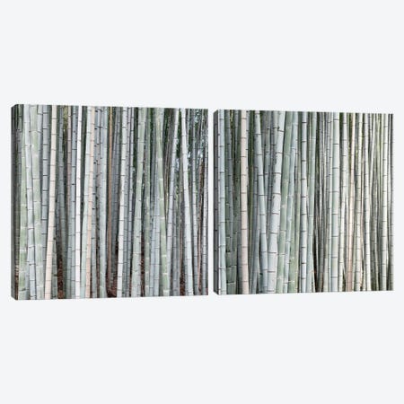 Bamboos Diptych Canvas Print Set #PHD2HSET002} by Philippe Hugonnard Canvas Art