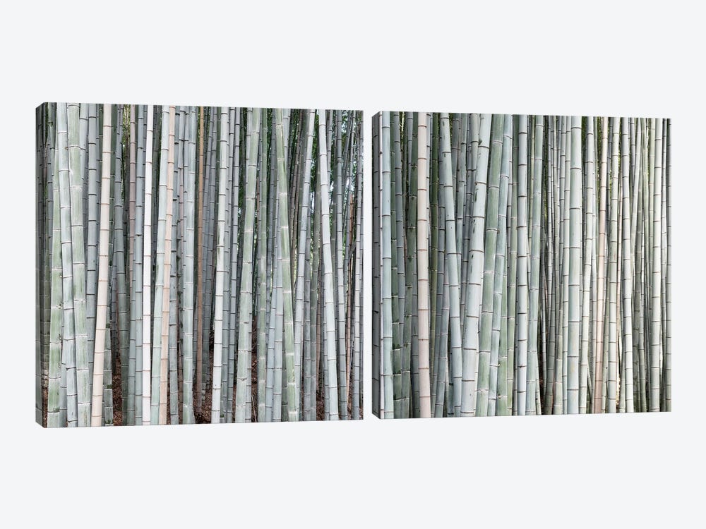Bamboos Diptych by Philippe Hugonnard 2-piece Canvas Artwork
