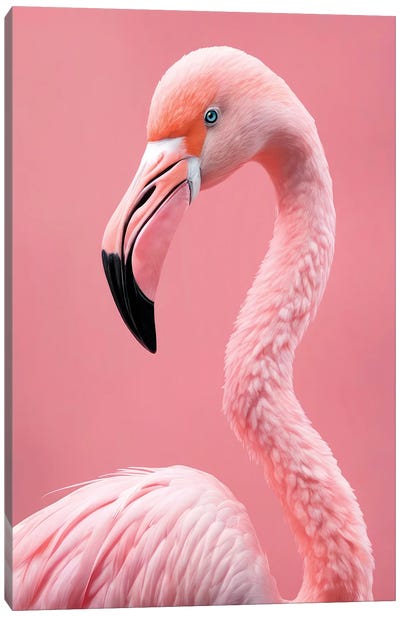 Xtravaganza Elegance Canvas Art Print - Flamingo Art