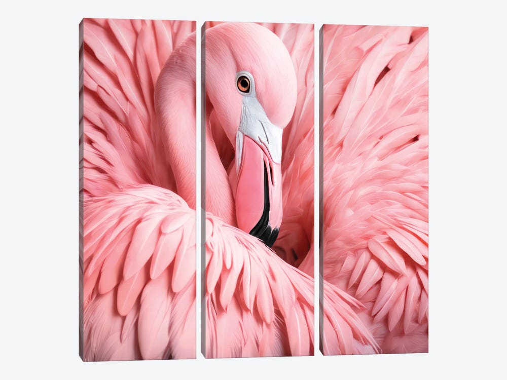 Xtravaganza Between The Pink Feathers by Philippe Hugonnard 3-piece Canvas Wall Art