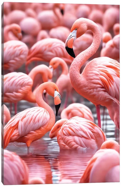 Xtravaganza The Flamingos Canvas Art Print - Philippe Hugonnard