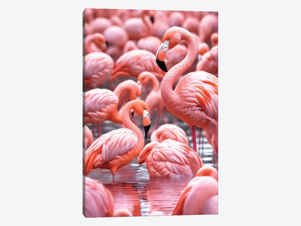 Xtravaganza The Flamingos by Philippe Hugonnard 1-piece Canvas Art