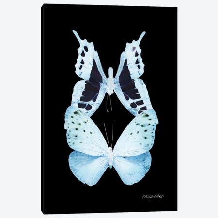 Miss Butterfly Euploanthus Duo X-Ray (Black Edition) Canvas Print #PHD305} by Philippe Hugonnard Canvas Art