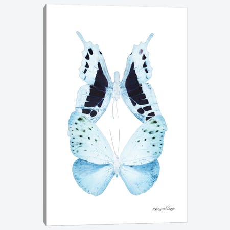 Miss Butterfly Euploanthus Duo X-Ray (White Edition) Canvas Print #PHD306} by Philippe Hugonnard Canvas Wall Art