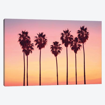 Malibu Sunset's Palm Trees Canvas Print #PHD3075} by Philippe Hugonnard Canvas Artwork