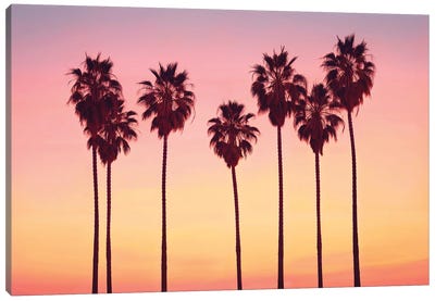 Malibu Sunset's Palm Trees Canvas Art Print - Philippe Hugonnard