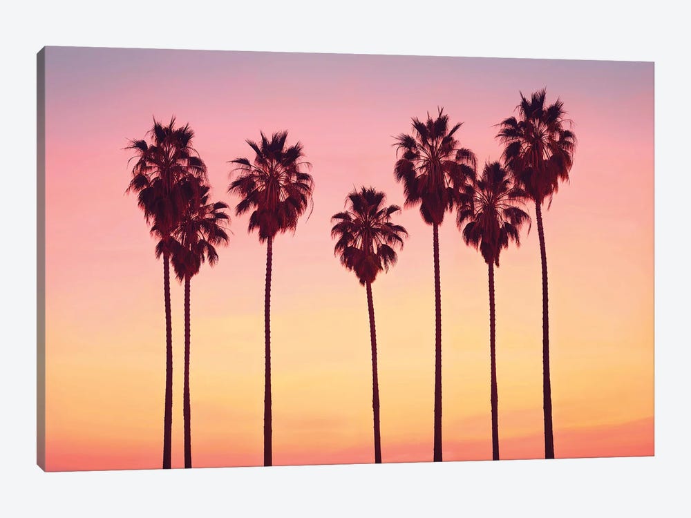 Malibu Sunset's Palm Trees by Philippe Hugonnard 1-piece Canvas Art