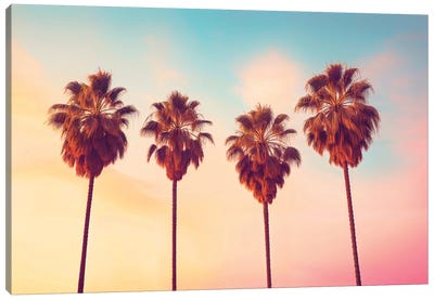 L.A Sunset Palms Canvas Art Print - Photography Art