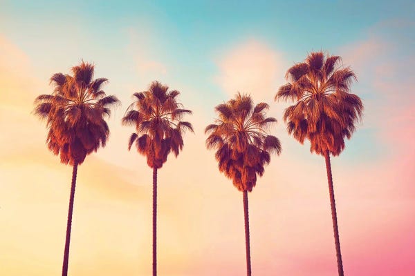 Fine Art Print: L.A Sunset Palms by Philippe Hugonnard