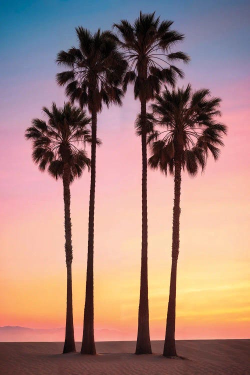 Beach Sunset Palms