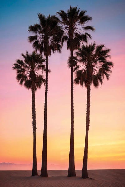 Fine Art Print: Beach Sunset Palms by Philippe Hugonnard