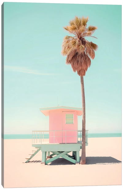 Beachside Pink Bliss Canvas Art Print - Photography Art