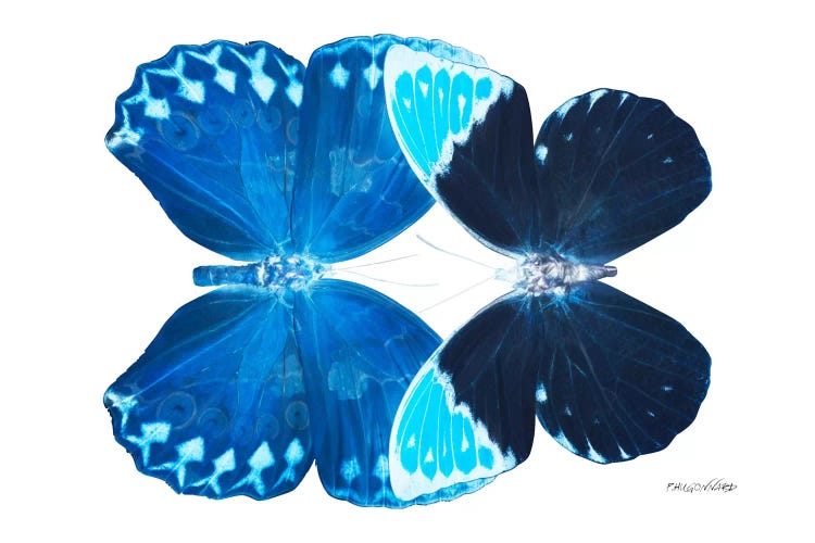 Miss Butterfly Heboformo Duo X-Ray (White Edition) by Philippe Hugonnard wall art