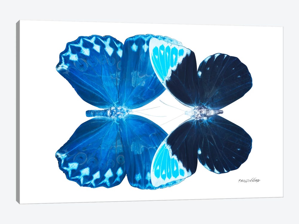 Miss Butterfly Heboformo Duo X-Ray (White Edition) by Philippe Hugonnard 1-piece Canvas Wall Art