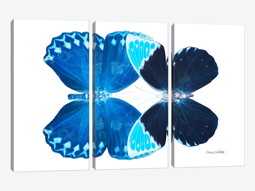 Miss Butterfly Heboformo Duo X-Ray (White Edition) by Philippe Hugonnard 3-piece Canvas Art