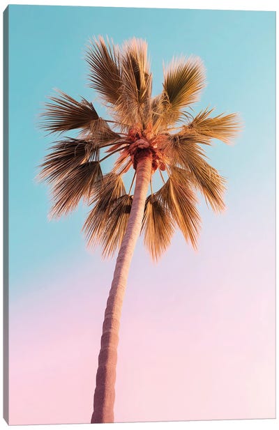 The Pastel Palm Canvas Art Print - Photography Art