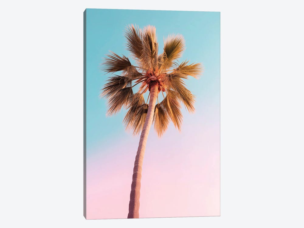 The Pastel Palm by Philippe Hugonnard 1-piece Canvas Artwork