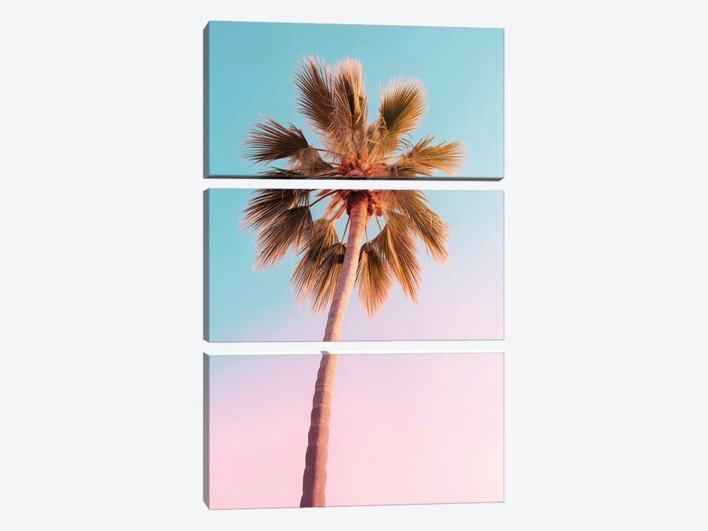 The Pastel Palm by Philippe Hugonnard 3-piece Canvas Art
