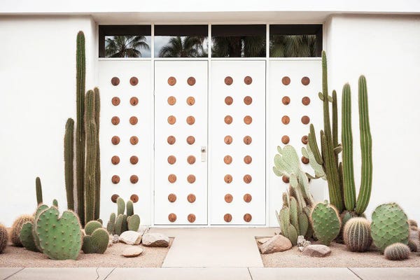 Palm Springs: Mid-Century Whiteness by Philippe Hugonnard