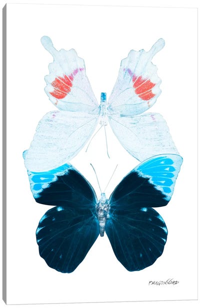 Miss Butterfly Hermosana Duo X-Ray (White Edition) Canvas Art Print
