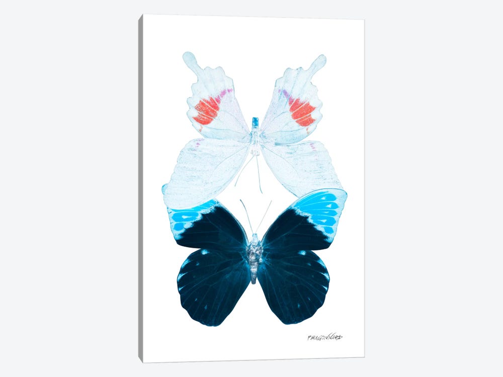 Miss Butterfly Hermosana Duo X-Ray (White Edition) by Philippe Hugonnard 1-piece Canvas Print