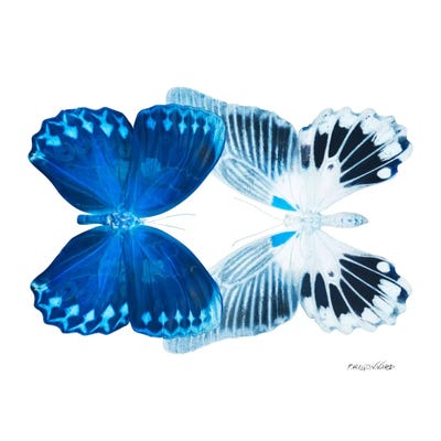 Miss Butterfly Memhowqua Duo X-Ray (White Edition) by Philippe Hugonnard framed canvas print