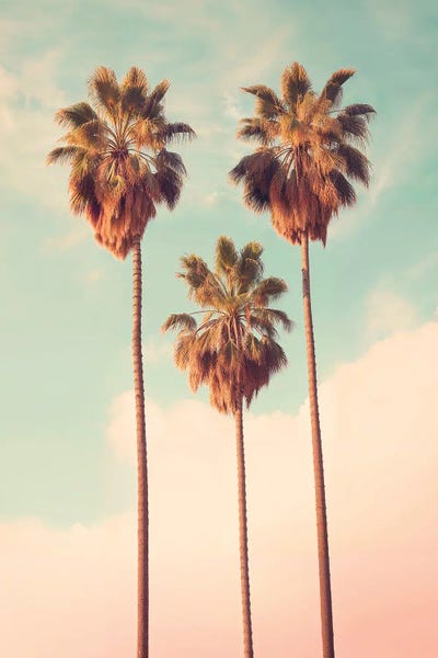 Fine Art Print: Palms Paradise by Philippe Hugonnard