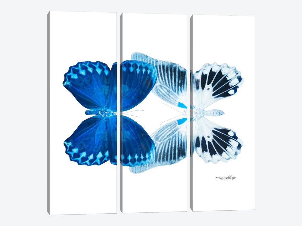 Miss Butterfly Memhowqua Duo X-Ray (White Edition) by Philippe Hugonnard 3-piece Art Print