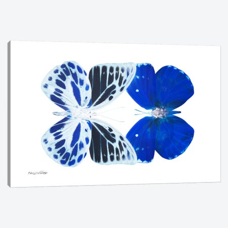 Miss Butterfly Priopomia Duo X-Ray (White Edition) Canvas Print #PHD311} by Philippe Hugonnard Canvas Wall Art