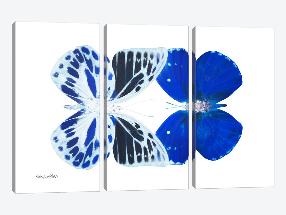Miss Butterfly Priopomia Duo X-Ray (White Edition) by Philippe Hugonnard 3-piece Canvas Wall Art