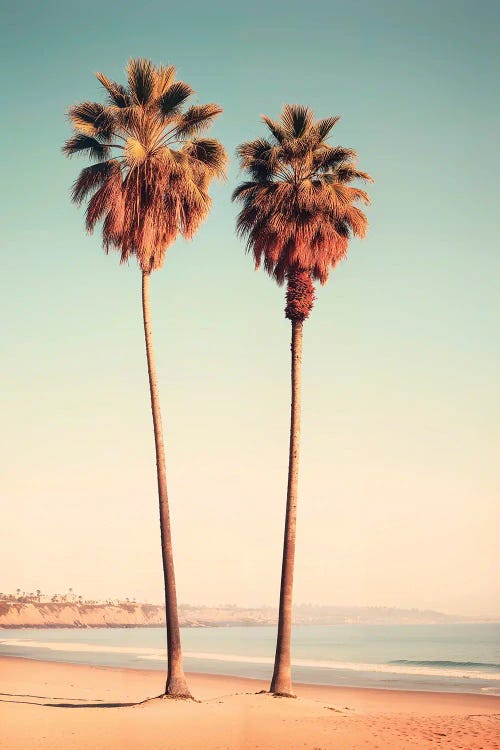 Sunset Beach Palms