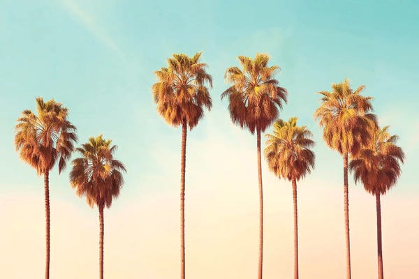 Fine Art Print: Hollywood Palms by Philippe Hugonnard