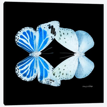 Miss Butterfly Salateuploea Duo X-Ray (Black Edition) Canvas Print #PHD312} by Philippe Hugonnard Canvas Artwork
