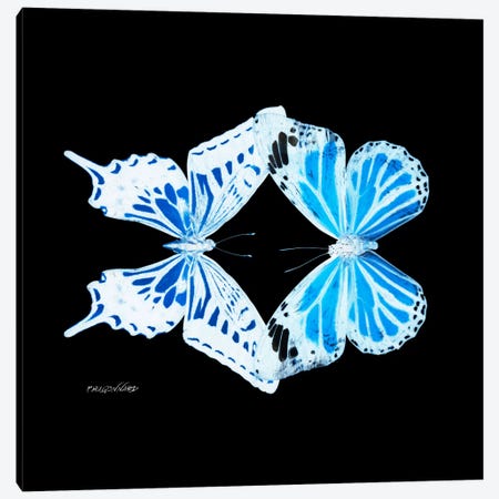 Miss Butterfly Xugenutia Duo X-Ray (Black Edition) Canvas Print #PHD313} by Philippe Hugonnard Canvas Wall Art