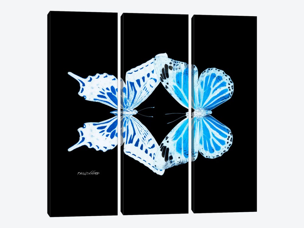 Miss Butterfly Xugenutia Duo X-Ray (Black Edition) by Philippe Hugonnard 3-piece Canvas Art