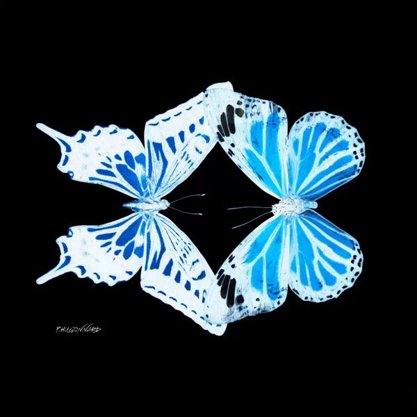 Color Pop Photography: Miss Butterfly Xugenutia Duo X-Ray (Black Edition) by Philippe Hugonnard