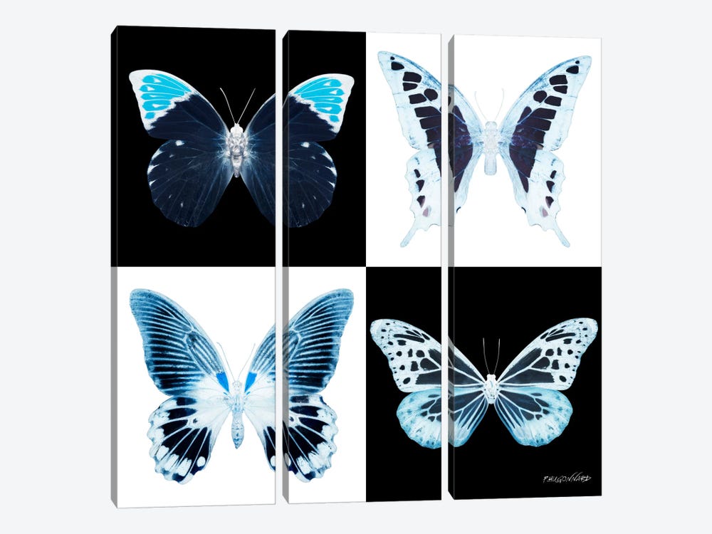 Miss Butterfly X-Ray I by Philippe Hugonnard 3-piece Canvas Art