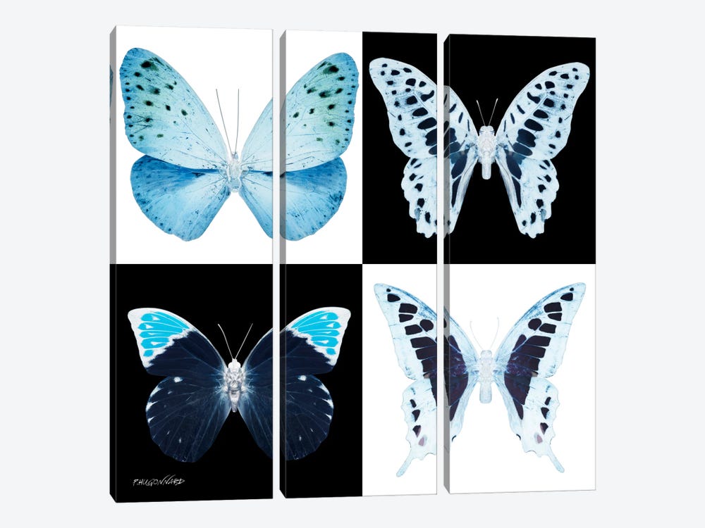 Miss Butterfly X-Ray II by Philippe Hugonnard 3-piece Art Print