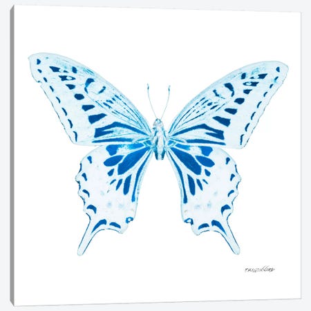 Miss Butterfly Xuthus X-Ray (White Edition) Canvas Print #PHD327} by Philippe Hugonnard Canvas Art
