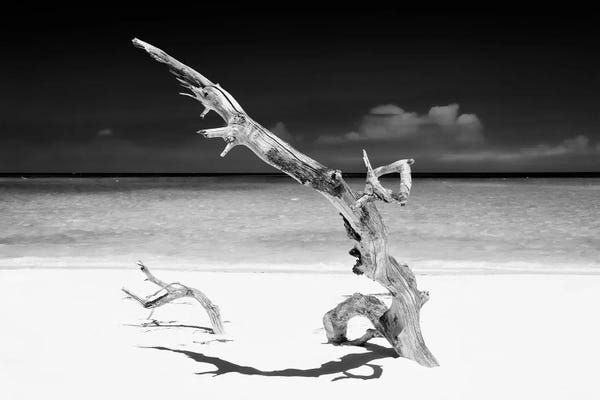 Caribbean: White Beach III in B&W by Philippe Hugonnard