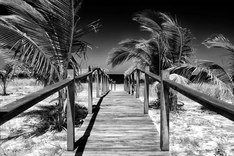 Wooden Pier on Tropical Beach VI in B&W