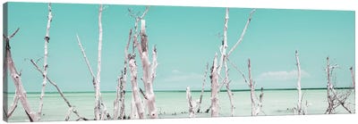Ocean Wild Nature - Pastel Coral Green Canvas Art Print - Cuba Fuerte