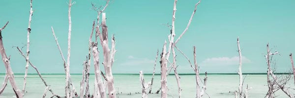 Cuba: Ocean Wild Nature - Pastel Coral Green by Philippe Hugonnard