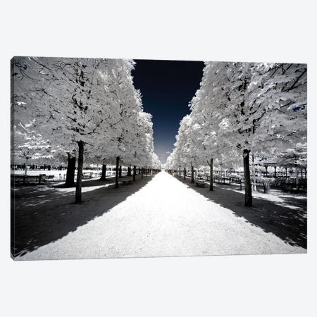 Another Look - White Alley Canvas Print #PHD493} by Philippe Hugonnard Canvas Art Print