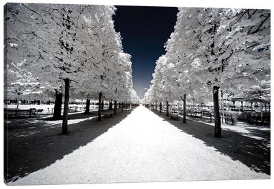 Another Look - White Alley Canvas Art Print