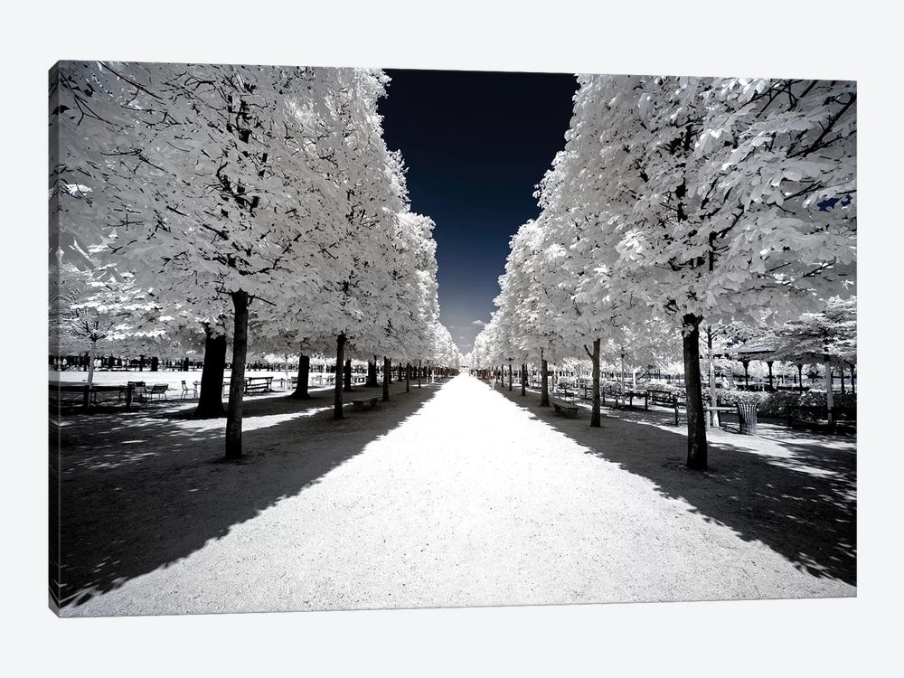 Another Look - White Alley 1-piece Canvas Art Print