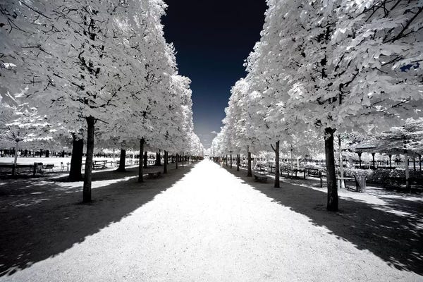 Snow: Another Look - White Alley by Philippe Hugonnard