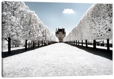 Another Look - Le Louvre Canvas Art Print - Snow Art