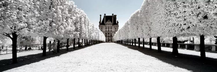 Another Look - Paris Louvre